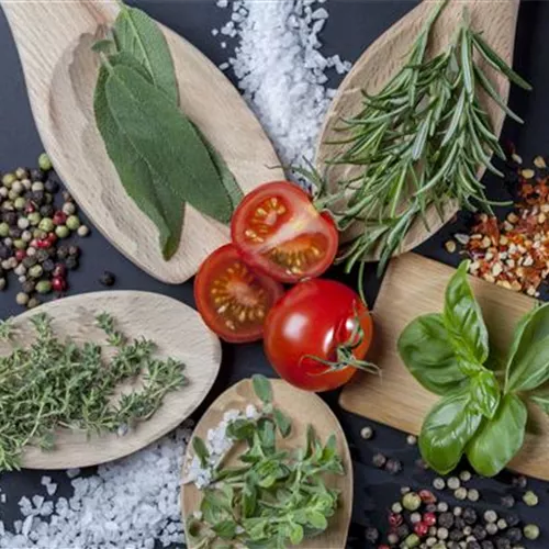 Frische Kräuter im Garten 